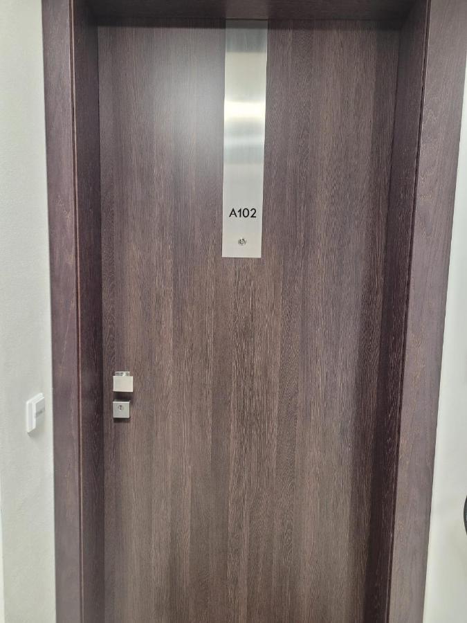 Molo Lipno Apartment *